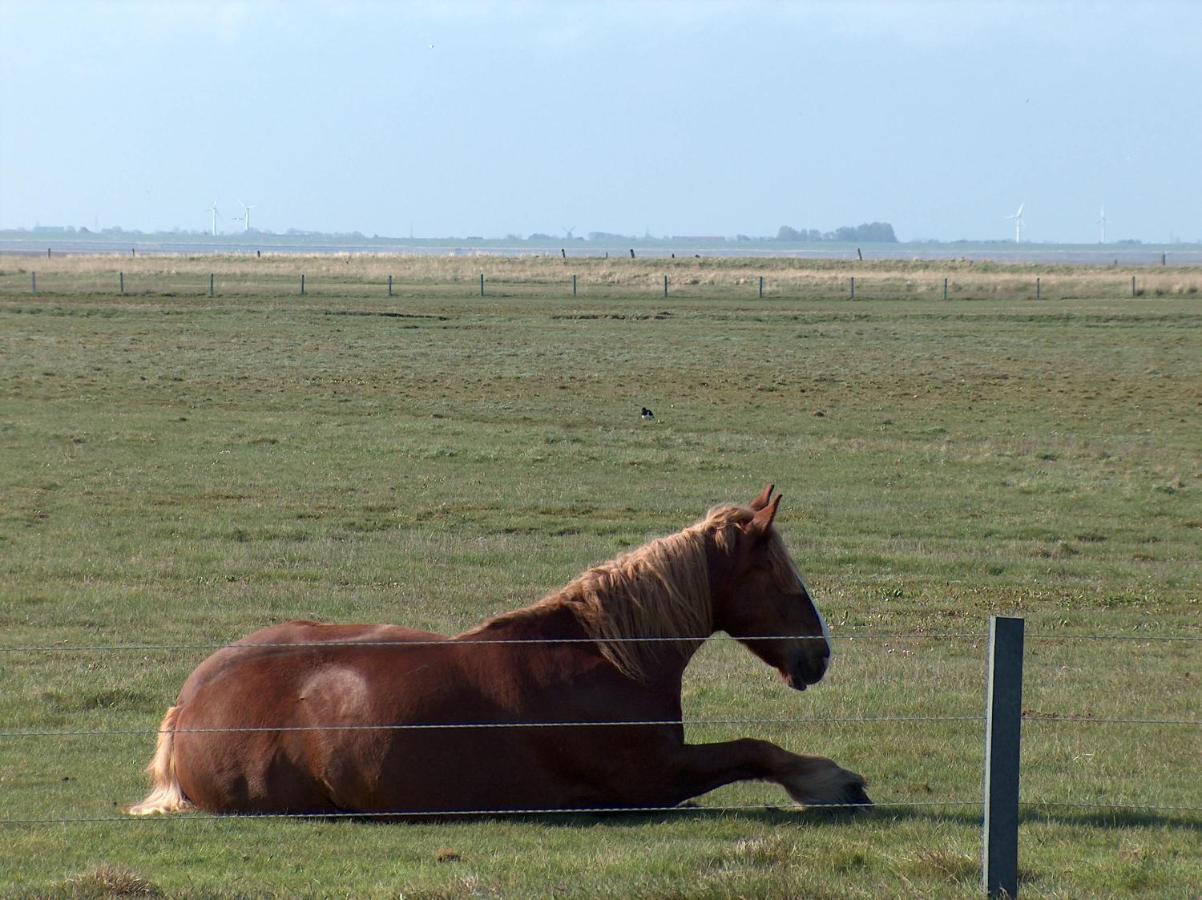Seevilla Wietjes Whg 3 Baltrum Esterno foto