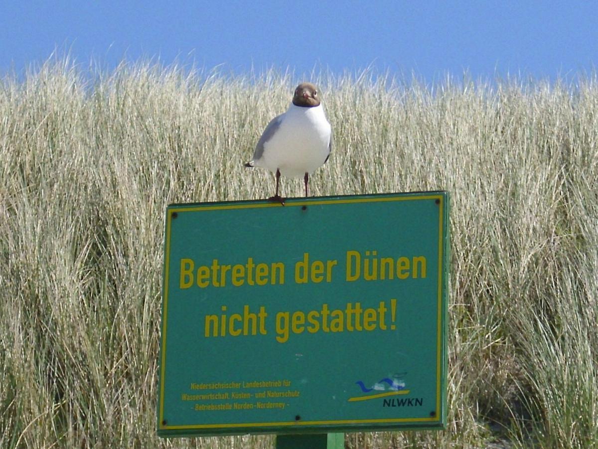 Seevilla Wietjes Whg 3 Baltrum Esterno foto